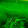 Water Drop Photos